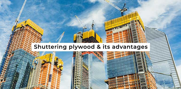 Shuttering Plywood