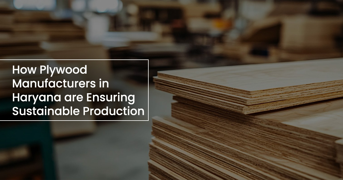 plywood Manufacturer in Haryana