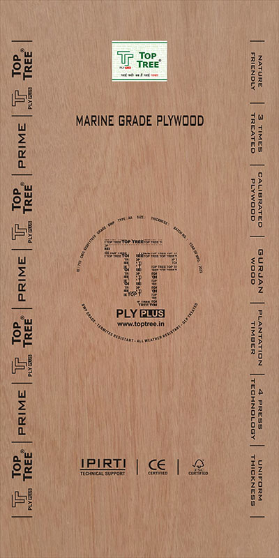 Plywood Manufacturer in Haryana