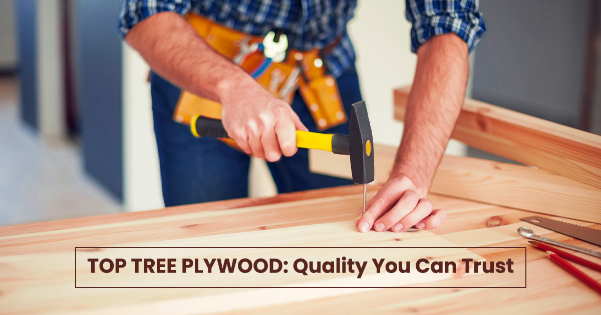 plywood Manufacturer in Haryana